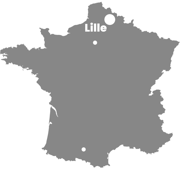Landkarte von Frankreich mit eingetragenem Punkt für Lille