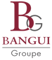 Logo bangui construction